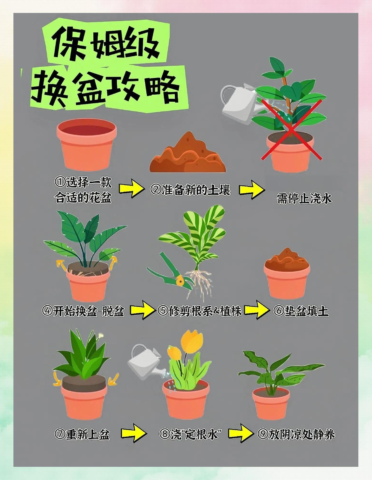 植物大战僵尸怎么刷植物花盆