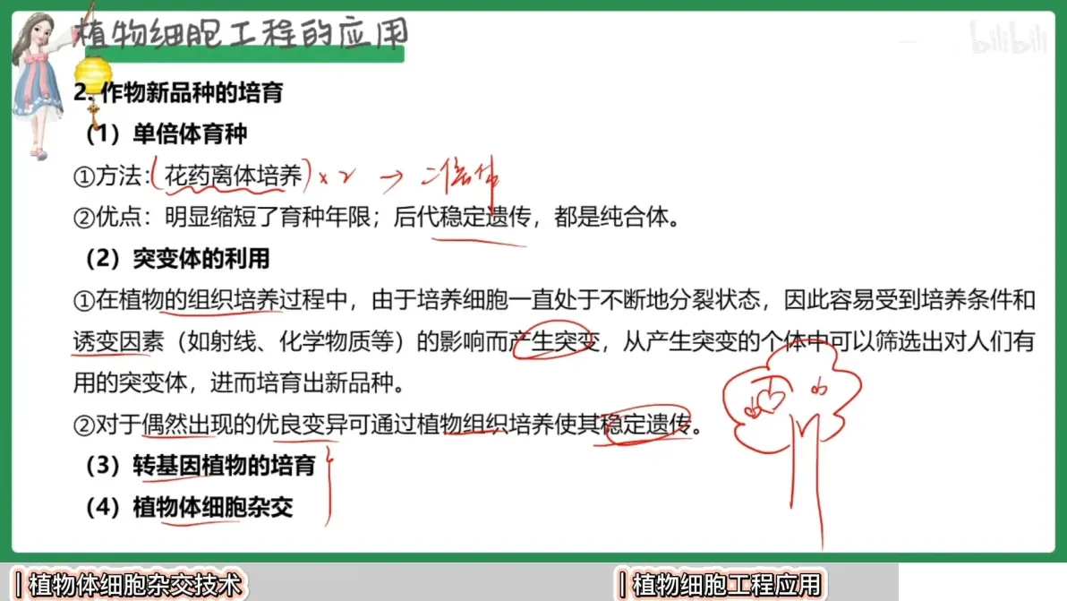 高中生物正交与反交
