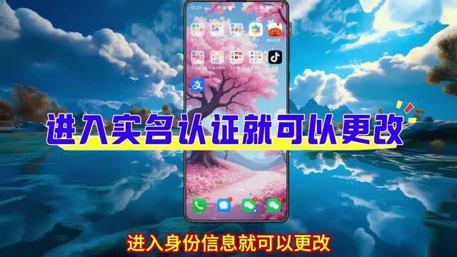 支付宝已经实名认证了怎么修改