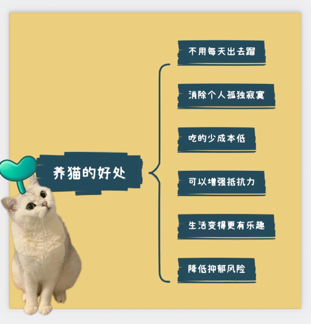 养宠物的好处和坏处
