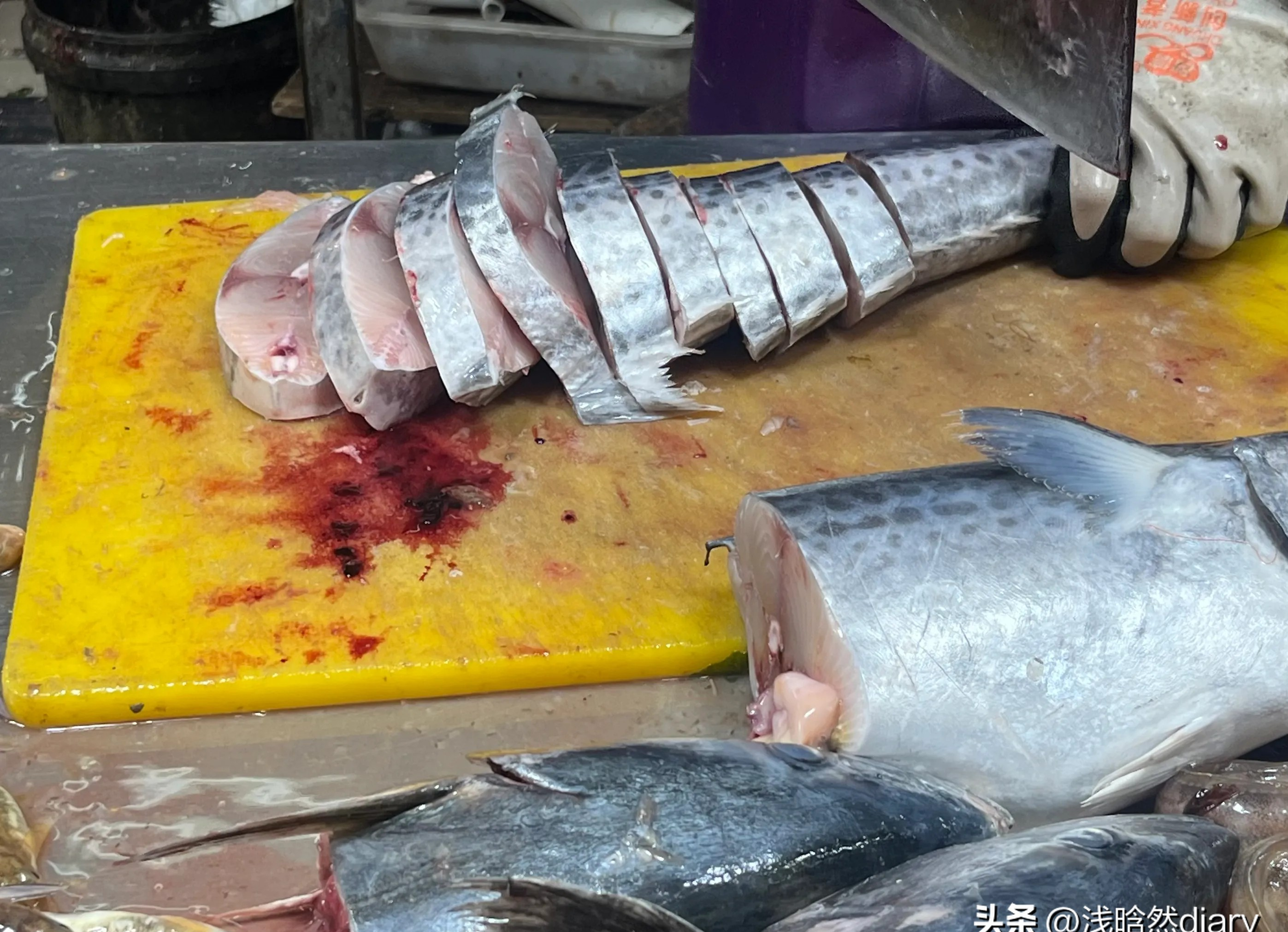 三类人不能吃马鲛鱼